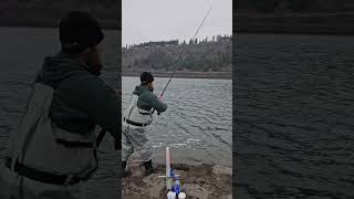 Lil shaker😁TeamHardLife JacdUpLeatherworks PENNfishing pnw fishing sturgeon oregon [upl. by Heall]