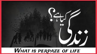 What is life  Zindagi kiya hy  what is purpoze of life full detail [upl. by Eissej]