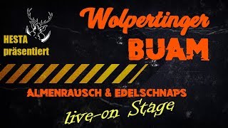 WolpertingerBuam  Almenrausch amp Edelschnaps official clip [upl. by Ydniahs363]