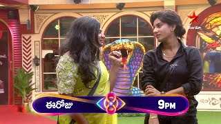 Bigg Boss Telugu 8  Day 70  Promo 1  Unforgettable Hilarious Moments 🤣 Nagarjuna  Star Maa [upl. by Ielak]