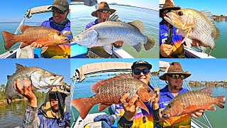 Fishing the Wyndham Brown Water Classic Western Australia [upl. by Leyla]