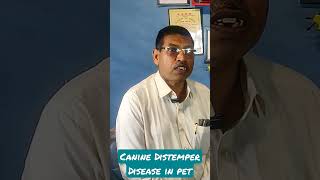 Canine Distemper disease ajaykaushik sheetalchhaya health distemper canine veterinary [upl. by Colline]