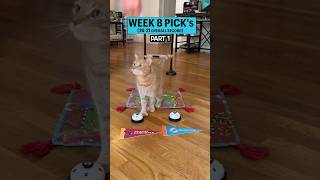 Week 8  NFL football cat cattricks nflpicks smartpets Vikings Rams Colts Lions Falcons [upl. by Dud2]