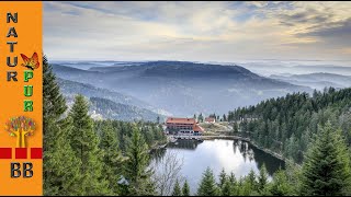 Wandern im Schwarzwald zur Grindenhütte am Mummelsee [upl. by Sunda]