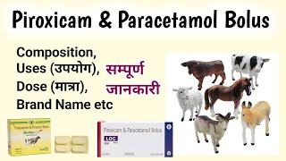 Piroxicam amp Paracetamol Bolus [upl. by Nagap]