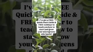 Ready to start a profitable microgreens side hustle I’ve got a FREE Quickstart Guide and a FREE [upl. by Cheston]