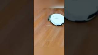 The roomba 🤣 funnycats funnyanimals funnypets [upl. by Blatman44]