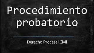 Procedimiento probatorio [upl. by Reynard]