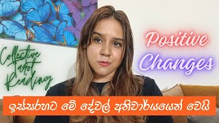 ජිවිතයේ හොද වෙනස්වීම් Positive Changes Collective Tarot Reading [upl. by Auqined]