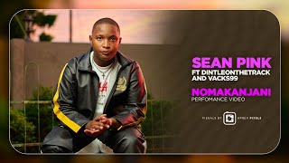 Sean Pink  Nomakanjani ft Dintleonthetrack And Vacks99 Performance Video [upl. by Eecram]