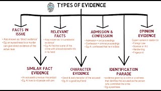 Evidence  Chapter 1 Types of Evidence CLP [upl. by Drue942]