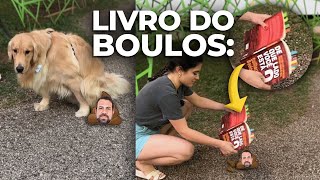 LI O LIVRO DO GUILHERME BOULOS e agora preciso de um ANALGÉSICO [upl. by Trauts]