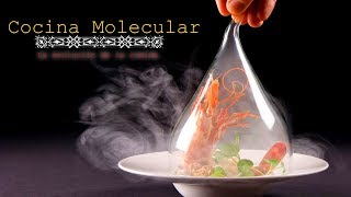 Cocina Molecular  Cuando la Ciencia Entra a la Cocina [upl. by Saimon232]