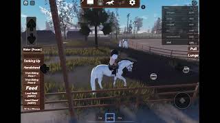 Horse strideway rp [upl. by Alston311]