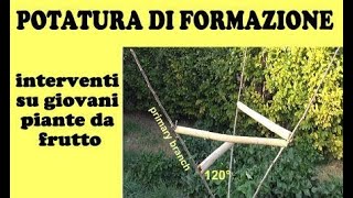 Potatura di formazione per giovani piante da frutto Orticoltura sostenibile 47 [upl. by Ttenaj]