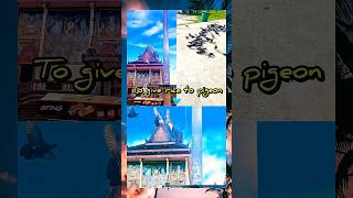 To give food to pigeons 🐦 everyday at pagoda love pigeon animals subscribe music song shorts [upl. by Monica]