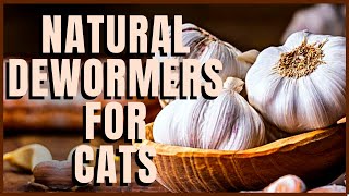 Natural Dewormers For Cats [upl. by Maggi535]