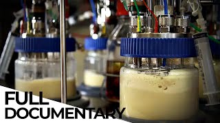 How Biotechnology Is Changing the World  Microorganisms  Biotech  ENDEVR Documentary [upl. by Schnell895]