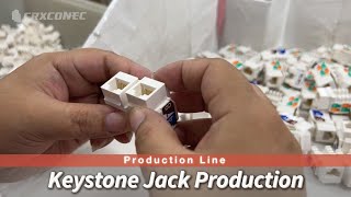 Production Line For RJ45 Keystone Jack Manufacturing Process [upl. by Niwre]