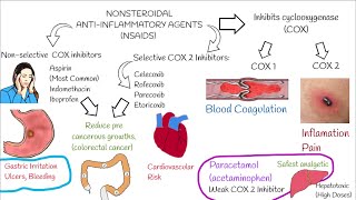 Understanding NonSteroidal AntiInflammatory Drugs NSAIDs in 3 minutes [upl. by Marentic]