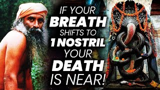 Your Death Is Near if Your Breath Shifts To 1 Nostril  Naga  Snake  Occult  Sadhguru Adiyogi [upl. by Erica]