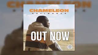 Amapiano  Daliwonga  Chameleon Full Album Mixed By Khumozin [upl. by Sturrock]