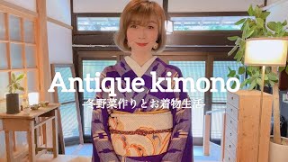 【着物】アンティークのお着物と冬野菜作り着物 kimono 着物生活 [upl. by Je]