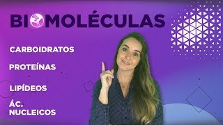 BIOMOLÉCULAS l Prof Louise Medeiros [upl. by Roach]