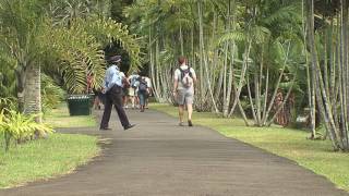 Pamplemousse Botanical Garden in Mauritius [upl. by Solnit]