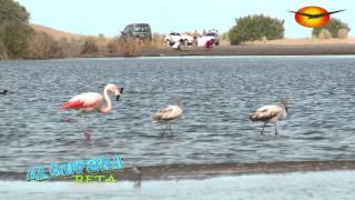 ALBUFERA DE RETA EN HD [upl. by Ahsikyw]