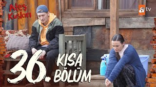 Ateş Kuşları 36 Bölüm  Kısa Bölümler [upl. by Wainwright399]