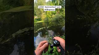 Hecht livebiss auf 2€ Spinnerbait😁 Part 23 hecht livebiss hechtangeln raubfisch angeln esox [upl. by Letsirhc]