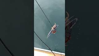 Winter crabbing at Edmonds WA [upl. by Okubo]