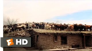 The Unforgiven 910 Movie CLIP  Rooftop Stampede 1960 HD [upl. by Ynohtnaeoj950]