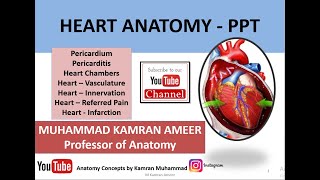 HEART ANATOMY  PowerPoint Lecture  MUHAMMAD KAMRAN AMEER [upl. by Ahtelra421]