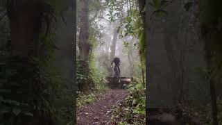 trek sepeda C100 bike park [upl. by Okin319]