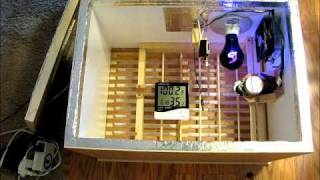 Homemade Incubator with Fan Thermostat and Automatic Egg Turner [upl. by Kiki]