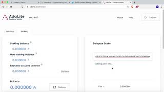 ADA Lite  A simple web wallet for Cardano [upl. by Guimond626]