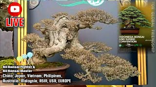 Indonesia Bonsai and Suiseki ConventionUltimate Bonsai From Indonesia [upl. by Cece]