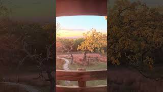 AUTUMN Sunset Vlog at LAPHAM PEAK 3  AUTUMN COLORS 🌅🍂 fall autumn cozy fallambience midwest [upl. by Laughton]