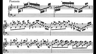 JS Bach Chromatic Fantasia and Fugue in d minor BWV 903 Schiff [upl. by Olia]