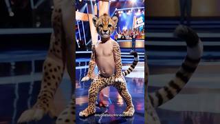 A Baby Performs a Fusion with Cheetah on AGT americagottalent agt magic talent shorts [upl. by Htebarual]