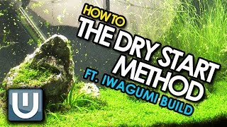 The Dry Start Method  Grow carpet the EASY way [upl. by Sissie]