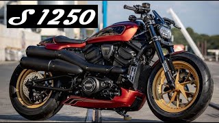 HD Sportster S 1250 Custom by Thunderbike Customs Germany  Ep 232 [upl. by Attey]