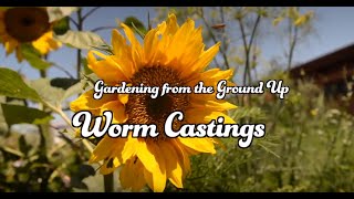 How to Garden with Worm Castings [upl. by Einram981]