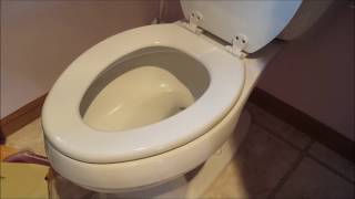 DIY 101 How To Remove amp Replace a Toilet Seat [upl. by Trudie]