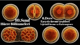 10 Sınıf Biyoloji Partenogenez ve Vejetatif üreme 6Ders [upl. by Fulcher458]