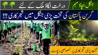 Planting Pakistan Green  Restoring Takht Padi Forest [upl. by Almeeta844]