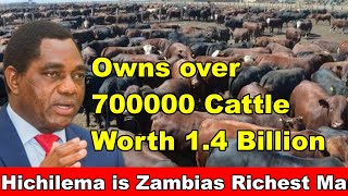 Hichilemas 700000 Cattle Just Shocked The World He is Zambias Richest Man [upl. by Maillliw]