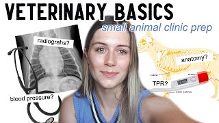 VETERINARY BASICS Things you should know before going into a clinic     Vet School [upl. by Casimire563]